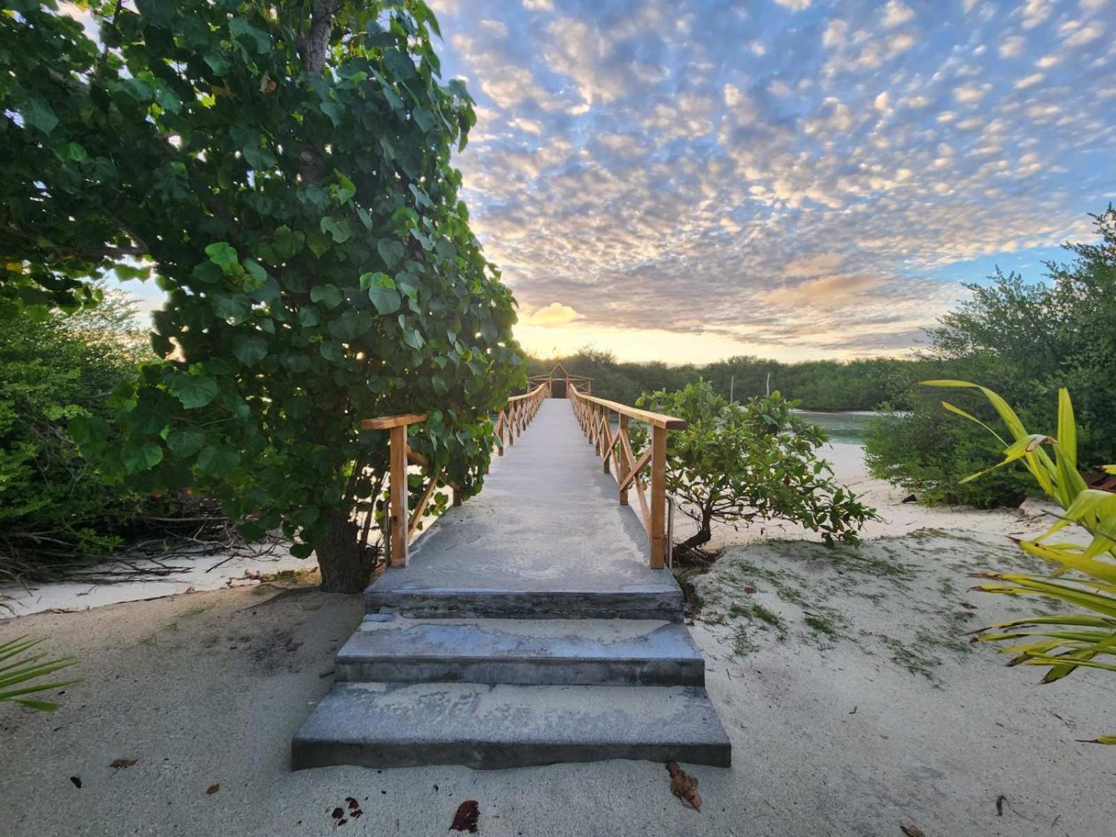 เซิร์ฟ เดค Hotel Thulusdhoo ภายนอก รูปภาพ